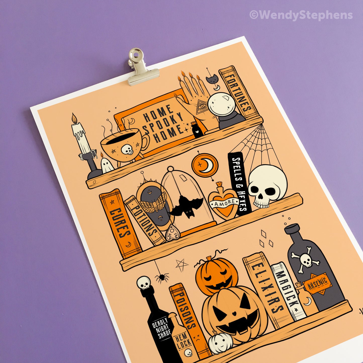 Potions & Poisons Shelf Art Print