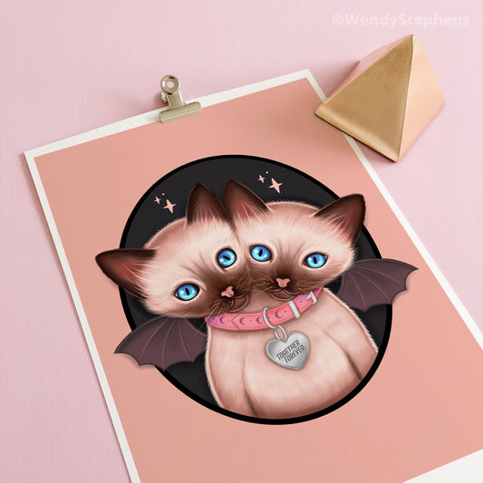 Two Headed Siamese Cat Art Print