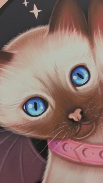 Two Headed Siamese Cat Art Print