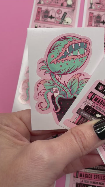 Spooky & Witchy Sticker Set