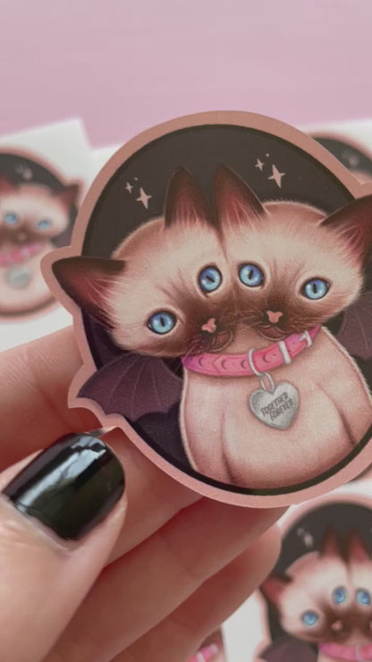 Two Headed Siamese Cat Spooky Vinyl Sticker